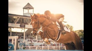 Birds || Equestrian Motivational Music Video