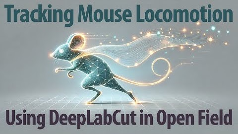 Tracking Mouse Locomotion Using DeepLabCut in Open Field Test