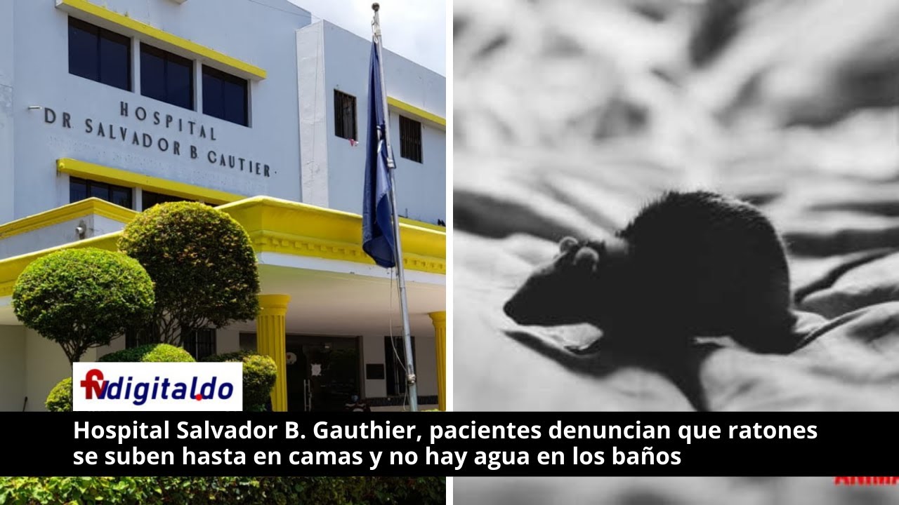 Hospital Gauthier, pacientes denuncian que ratones se suben hasta en