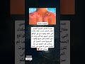 معلومة هامة عندما تتعرض لحروق الشمس خلال التبحر ليست خلايا جلدك التي تتلف وتموت بل معلومة هامة عندما تتعرض لحروق الشمس خلال التبحر ليست خلايا جلدك التي تتلف وتموت بل