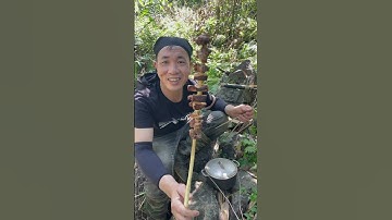 Bữa cơm đơn giản nhất trong rừng #youtube #videoshort #trungvungcao #hoangdavungcao #