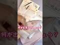 何作る❓【100均DIY】