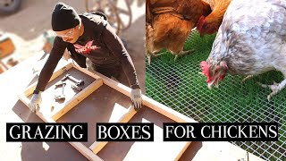 How To Keep Grass With Chickens  Grow Grass For Chickens With Grazing Box