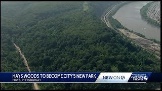 Hays Woods will be new Pittsburgh park