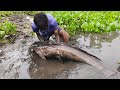 Amazing  Hand Fishing Video   A Boy Catching Giant Catfish By Hand From River Banks.#fishing