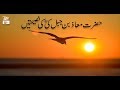Watch Hayat e Sahaba - 21st July 2018 - ARY Qtv Online In HD