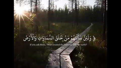 حالات واتس اب قران//  بصوت عبد الوهاب طاهر// اجمل حالات واتس اب دينبة//  تلاوة مبكية