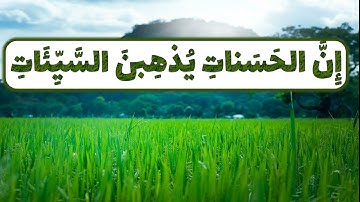 إِنَّ الْحَسَنَاتِ يُذْهِبْنَ السَّيِّئَاتِ__ياسر الدوسري_سورة هود#حالات واتس اب قران#واتس اب #دينية