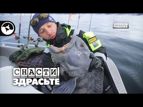 Как поймать зубатку в Норвегии | Снасти, здрасьте!