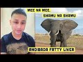 Anoibada Fatty Liver Mee Ga Shamu Ga Compare Twraga Leiradi Yararoi