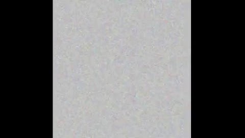 Daniel Amit Aharon Live Stream