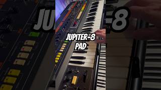 Sampling ​one hifh note of Roland Jupiter-8, pitching down and playing it. #jupiter8 #vintagesynth