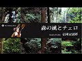 森の風とチェロ　癒しのサウンド　 信州安曇野（自然映像とBGM/心身浄化・癒し/作業用BGM）sound of cello