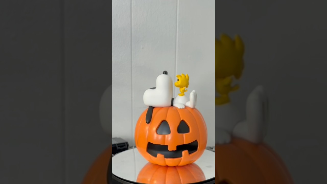 PEANUTS SNOOPY and WOODSTOCK PUMPKIN FUNKO POP 🐶🐤🎃 