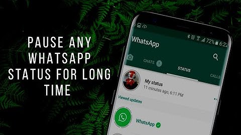 How to pause WhatsApp status for long time