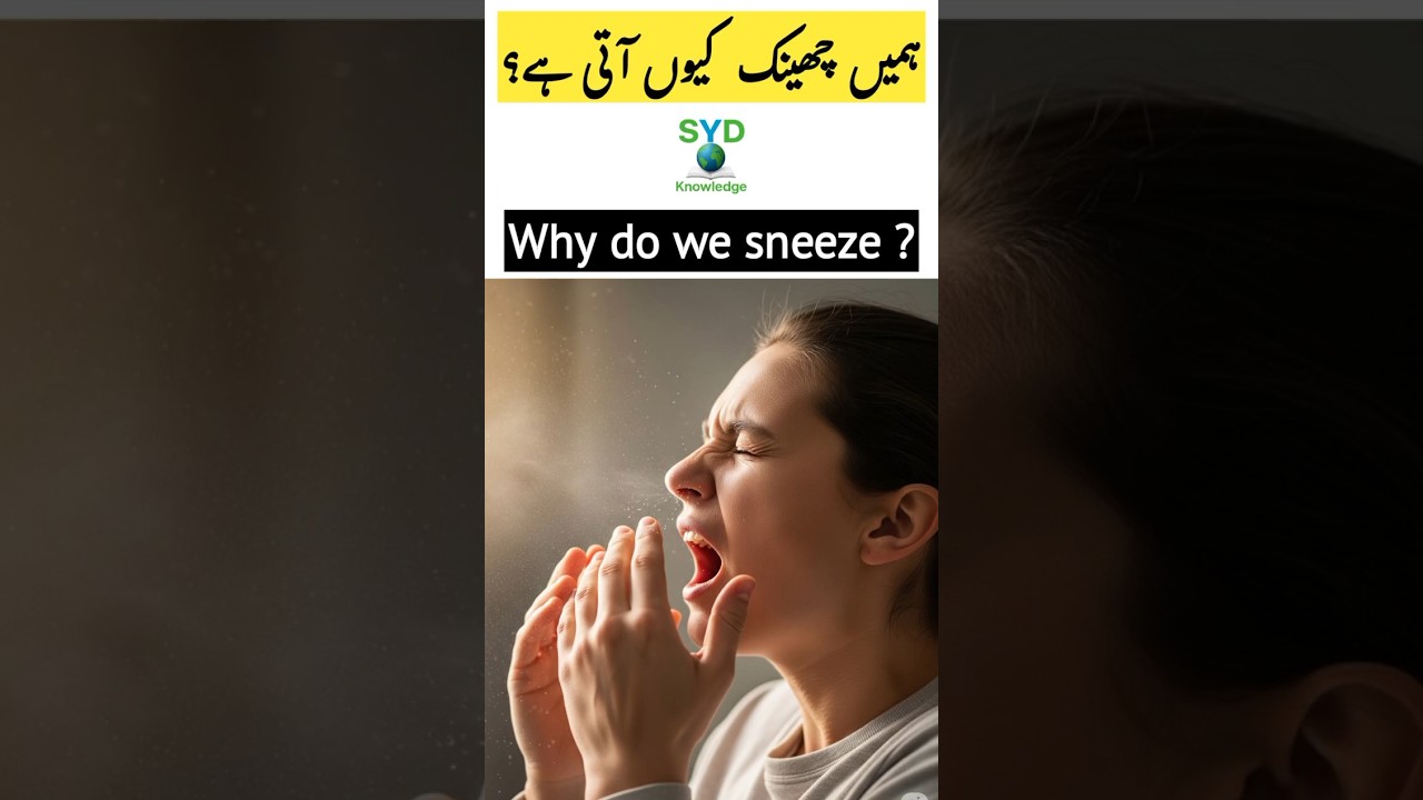 Sneezing Speed?|  Amazing Sneezing Facts! Urdu shorts |  human body facts