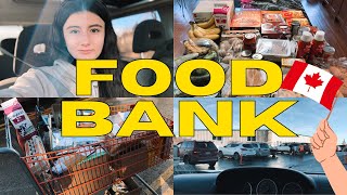 Скільки їжі дають в Food Bank?📍Calgary