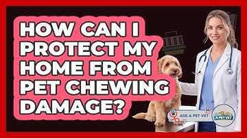 How Can I Protect My Home From Pet Chewing Damage? - Ask A Pet Vet
