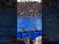 Sea World #babyshark