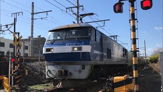 EF210-110号機牽引 1050レ 北方貨物線 (2021.2.16)