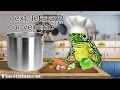 Cooking With Froggo