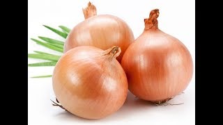 Hight Lights Of Onion Benefits Part 2/ Onion Nutrition Fats/ Specifications/ Featurs screenshot 3