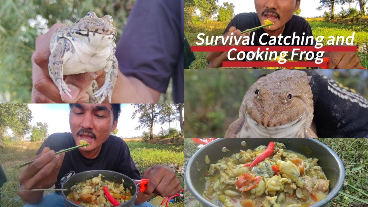 Catching🐸 and Cooking Frog survival 