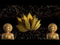 1/1/1 PORTAL 💫 ABUNDANCE, BLESSINGS & MIRACLES • LAW OF ATTRACTION • 1111Hz