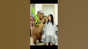 Capybara Làm Thợ Cắt Tóc Cho Chị Tú | Và Cái Kết ❤️🔔🙏 #capybara