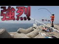 [怪魚] 竿が持っていかれる！！投げ釣りでカレイを狙っていたらとんでもない引きの魚とバトルすることに。
