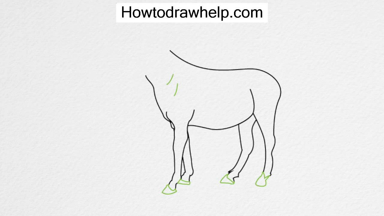 How to draw a HORSE step by step for kids YouTube