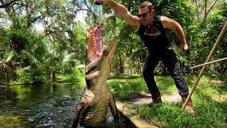 Feeding gator a rack of ribs & vlog!! 