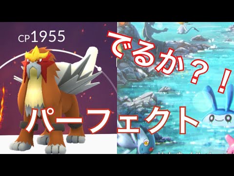 【ポケモンGO エンテイDAY】パーフェクトは出るのか？！