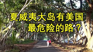 夏威夷大岛12天深度游(第9天)，误入大岛禁区，在美国“最危险”的路上开车，树林隧道，熔岩树。岛上东西两侧的居民互不往来是怎么回事？#hawaii #自驾游 #夏威夷