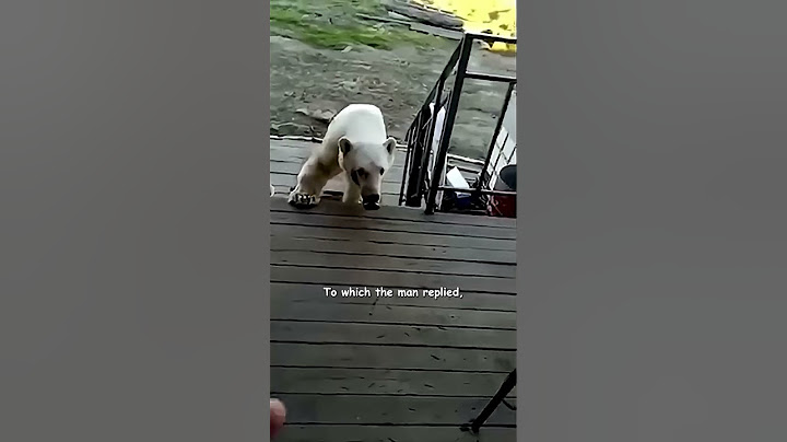 Polar Bear Begs For Help! - HAPPY ENDING