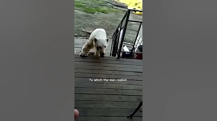 Polar Bear Begs For Help! - HAPPY ENDING - DayDayNews