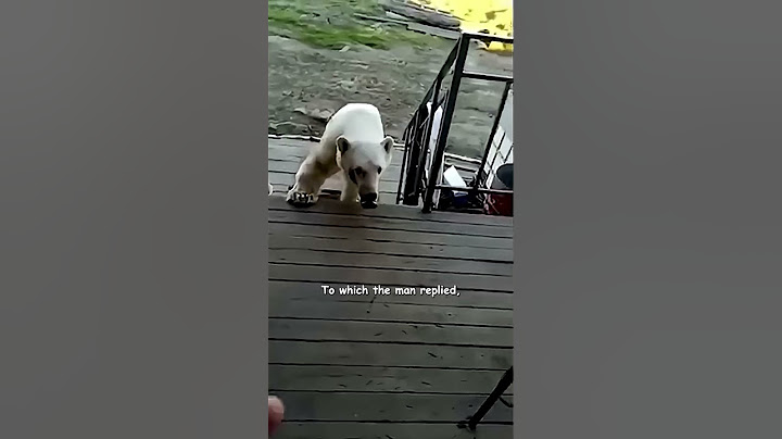 Polar Bear Begs For Help! - HAPPY ENDING