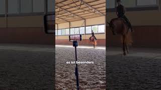 Equestrian Kim Burschik shares her #PivoPOV