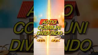 ¿Qué es la actio communi dividundo?