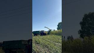 Its corn timee 🌽 #silage #cornsilage #farming #agriculture #farmlive #timelapsd #corn