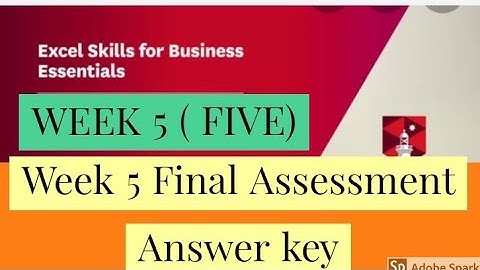 Excel skills for business essentials week 5 assessment answer key coursera course || excel solution