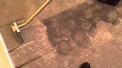 Flood Cleanup - Water Extraction - Water Damage Restoration Edmonton 780 475 4707 Gentle Steam
