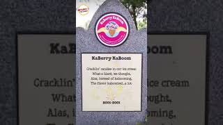 Ben & Jerry’s Flavor Graveyard “Respect the Chain”