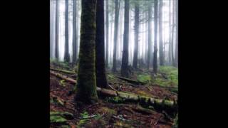 Edanticonf   Forest Echo Silent Season