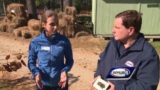 Grow it Green: Protecting trees, shrubs from meadow voles