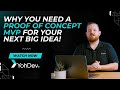 Why You Need a Proof of Concept MVP for Your Next Big Idea!