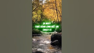 28 Ngày Thực Hành Lòng Biết Ơn (Ngày 7): Cánh Cửa Thoát Khỏi Sự Tiêu Cực #longbieton #themagic