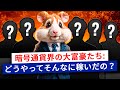 💰 暗号通貨界でのトップ5億万長者 // 暗号通貨界での大富豪たち | Hamster Academy