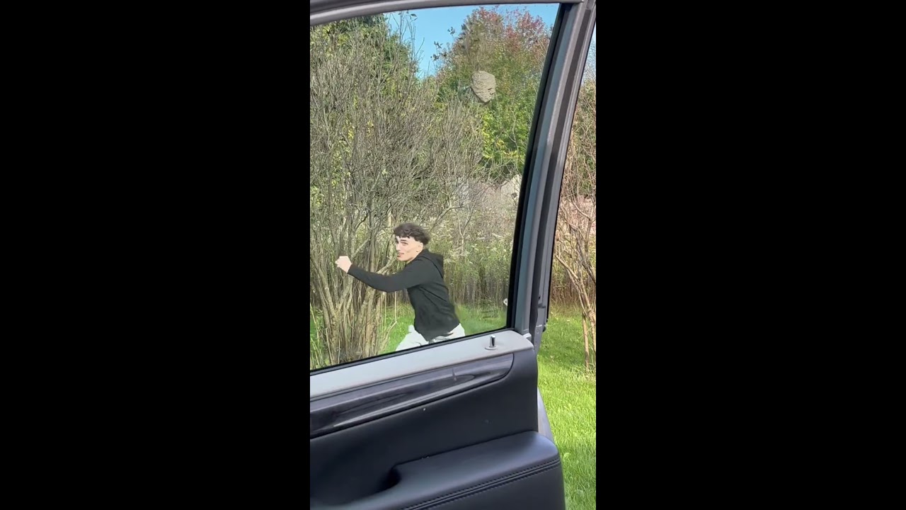 Trying To Knock Down A Hornets Nest