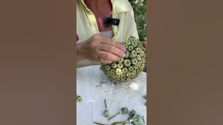 DIY - Die schönste Dekokugel EVER & noch dazu FÜR IMMER halbar 💚